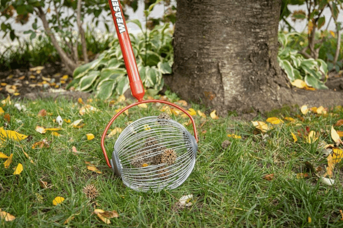 Garden Weasel Large Nut Gatherer | Father's Day Gift Ideas 2025